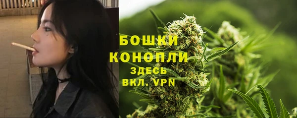 спиды Кодинск
