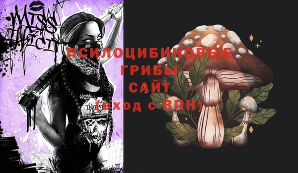 стафф Баксан