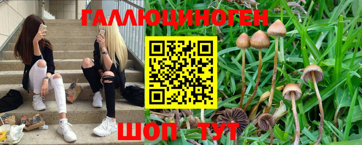 Карабулак  Вход с VPN  Кокаин  Каннабис  A PVP  ГАШИШ  Мяу-Мяу  Меф  Бошки Шишки 