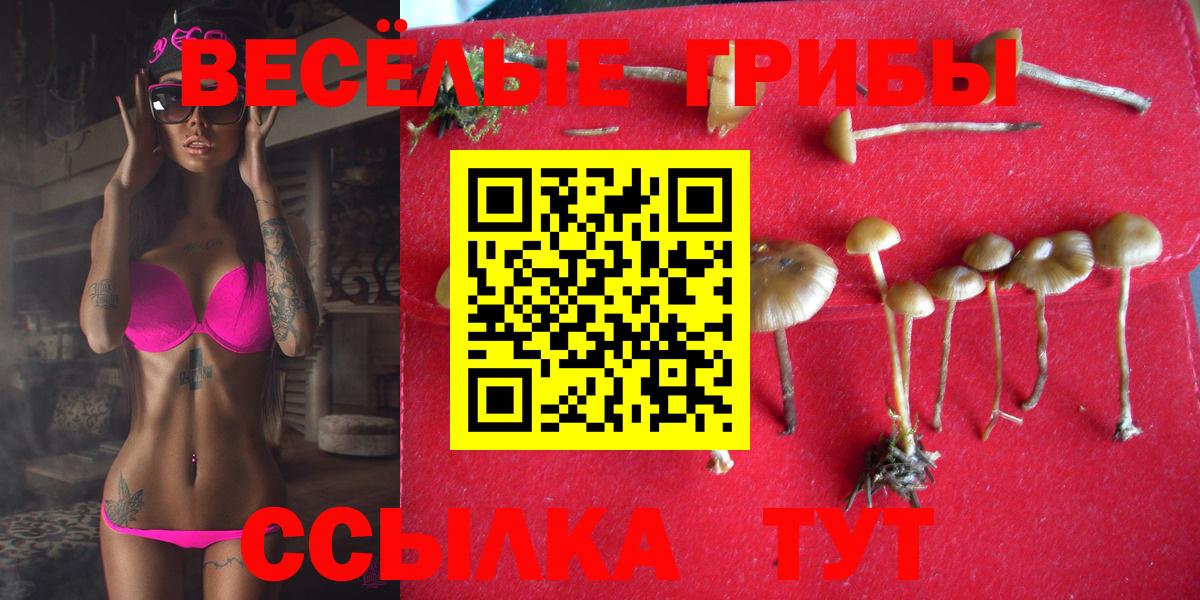 хочу наркоту  Псилоцибиновые грибы Magic Shrooms  Вход с VPN  Карабулак 