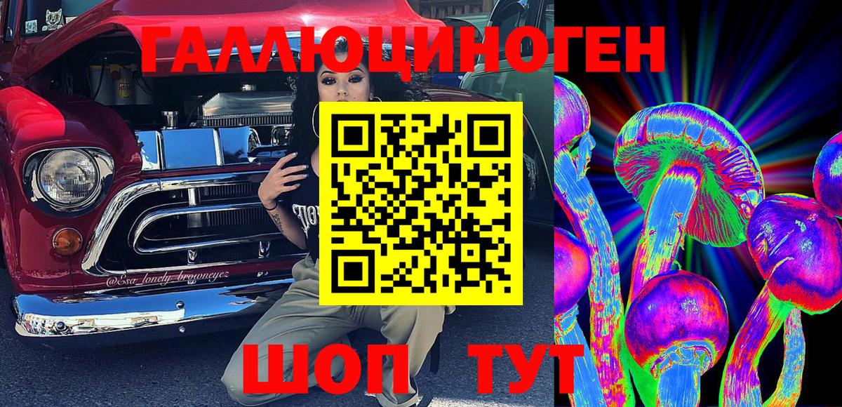 купить   Карабулак  Псилоцибиновые грибы мухоморы  Псилоцибиновые грибы Psilocybine cubensis 