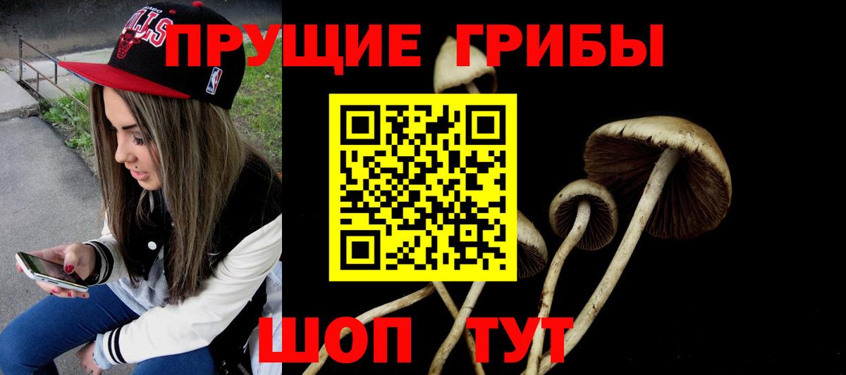 Галлюциногенные грибы MAGIC MUSHROOMS Карабулак