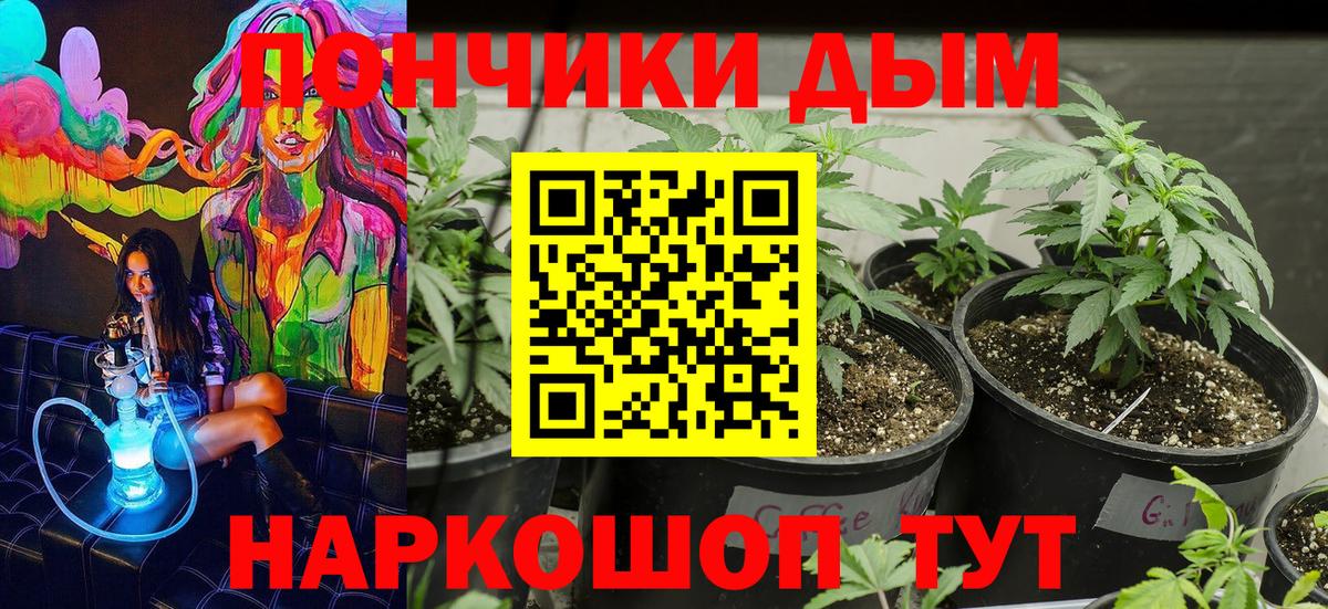 Марихуана план  Марихуана индика  Канабис планчик  Карабулак  Вход с VPN 